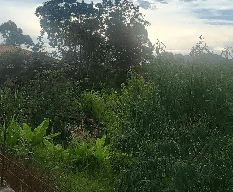 Chácara em Mairinque
