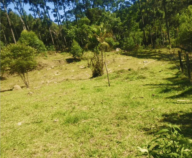terreno roteiro do vinho são roque 01